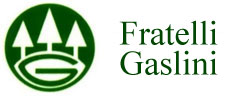 gaslini